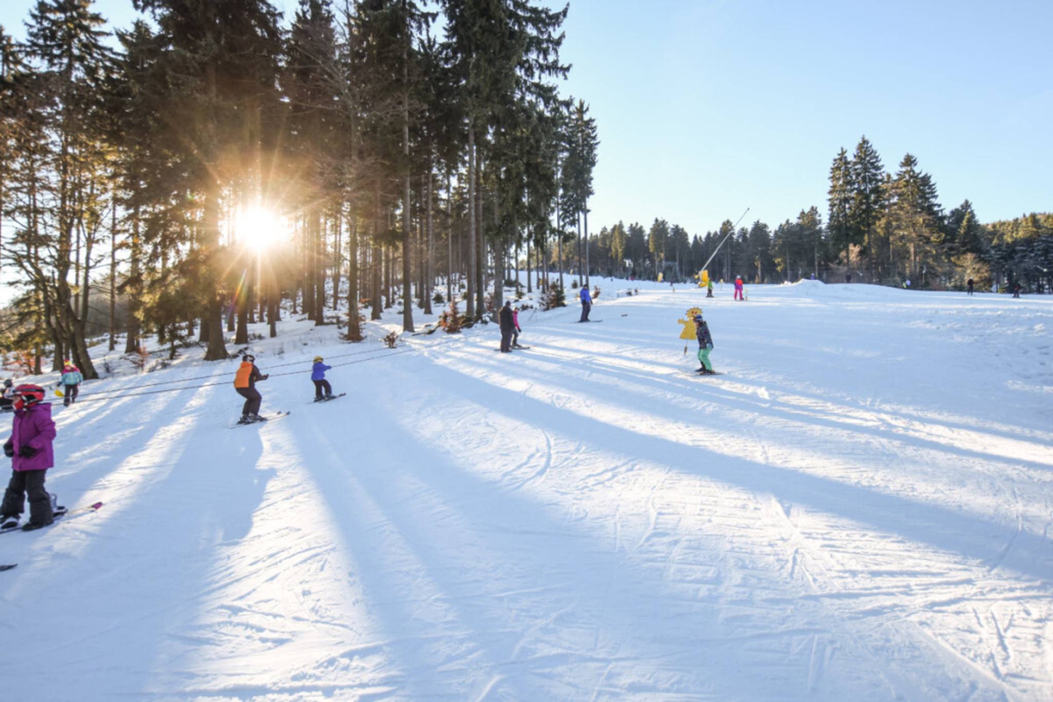 Lyžařská škola Šerlišský mlýn
